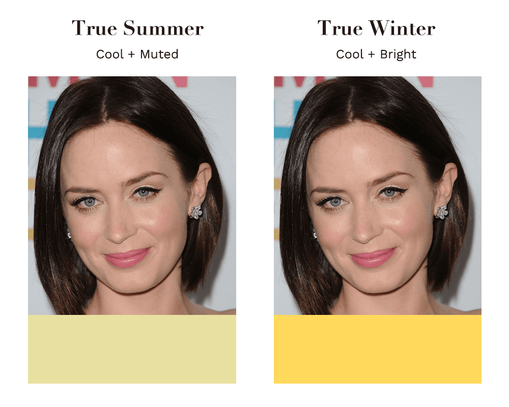 True Summer vs True Winter What Is The Difference? the concept wardrobe